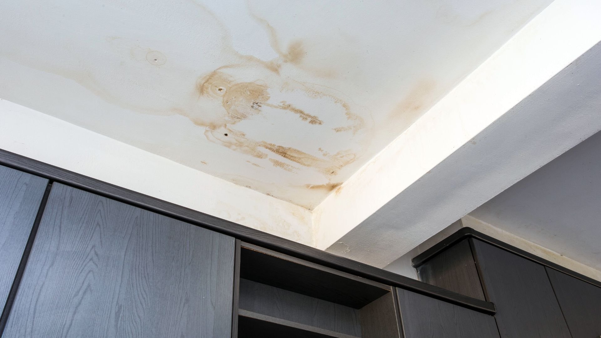 Water stain on ceiling near dark wooden cabinets and shelving