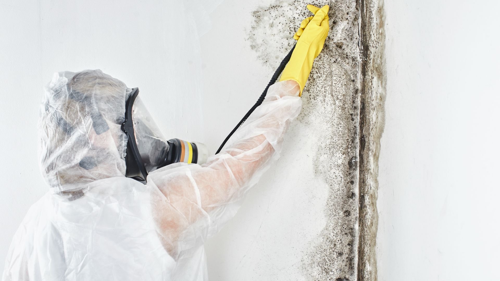 Worker in protective gear removing mold from wall with yellow gloves